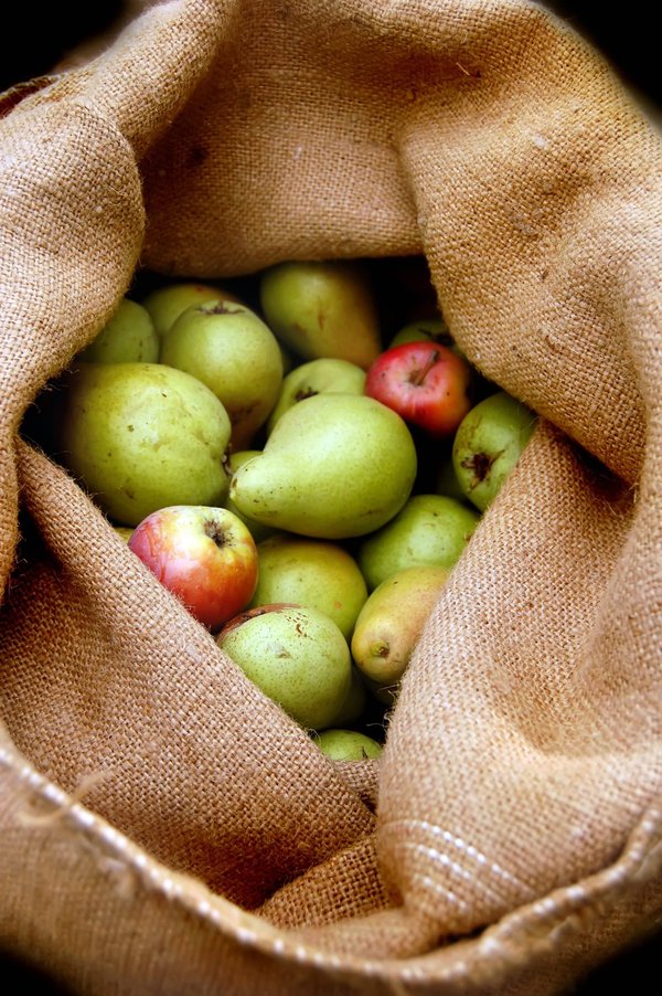 Quelles sont les meilleures collations pour l'après-midi ?